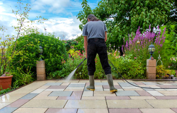 Best Driveway Pressure Washing  in Spring Valley Lake, CA